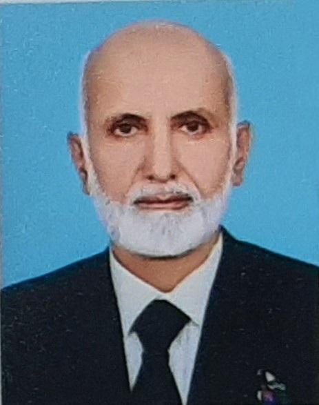 Raja Abid Ali Abid 